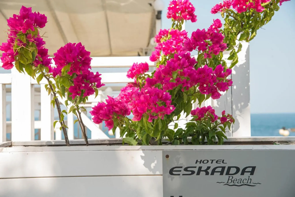 HOTEL ESKADA BEACH