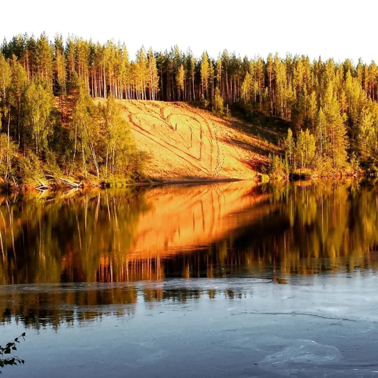 Arctic therem