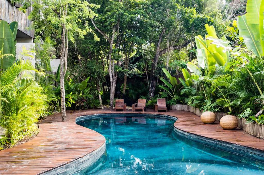 Cozy Jungle Apartment In Aldea Zama
