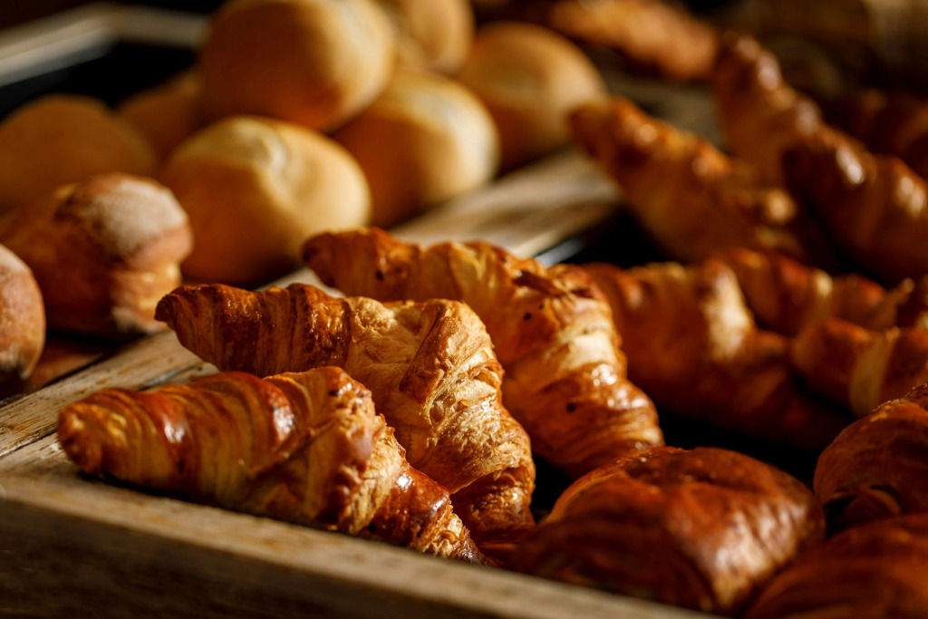 Palmiers by Fassbind