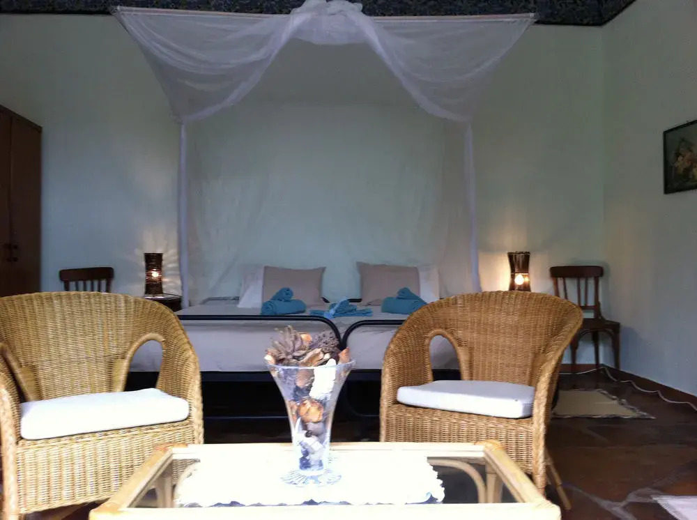 Tree House Namibia