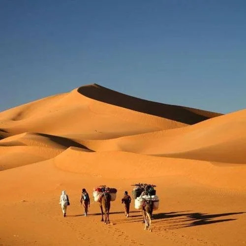 Auberge Kasbah Dar Sahara Tours