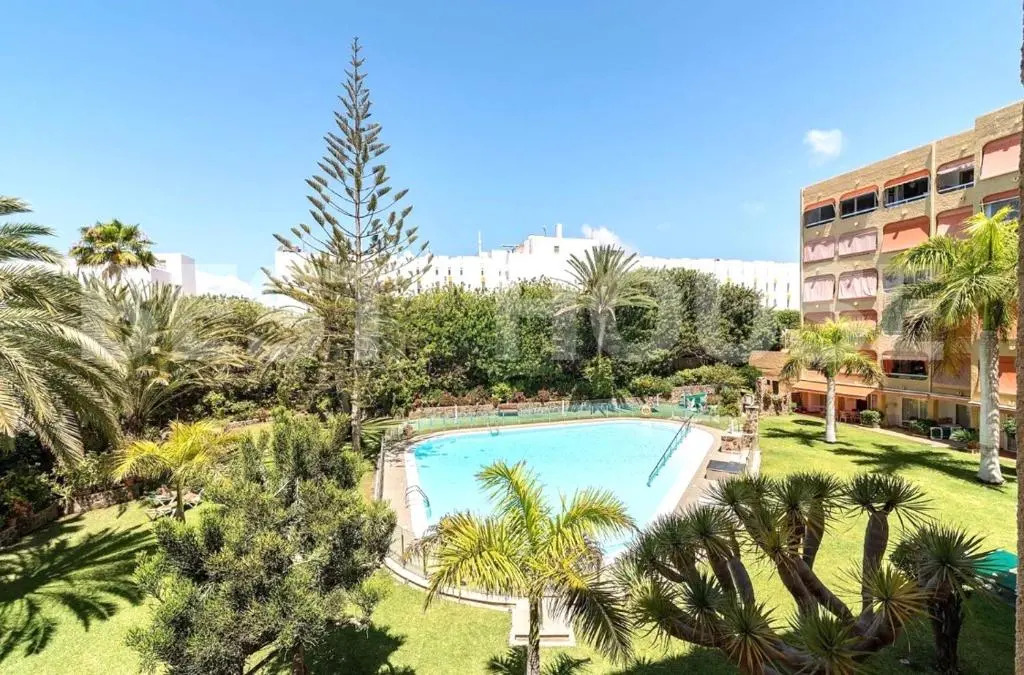 wonderful, lovely & quiet studio in playa del Inglés - WiFi free