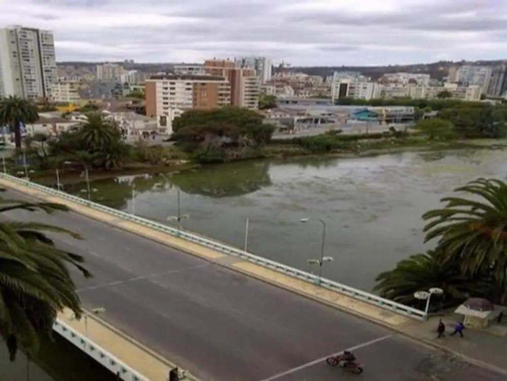 Departamento Viña del Mar Rapa Nui