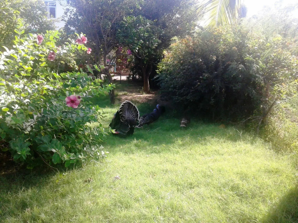 Chez Ronald Guest House