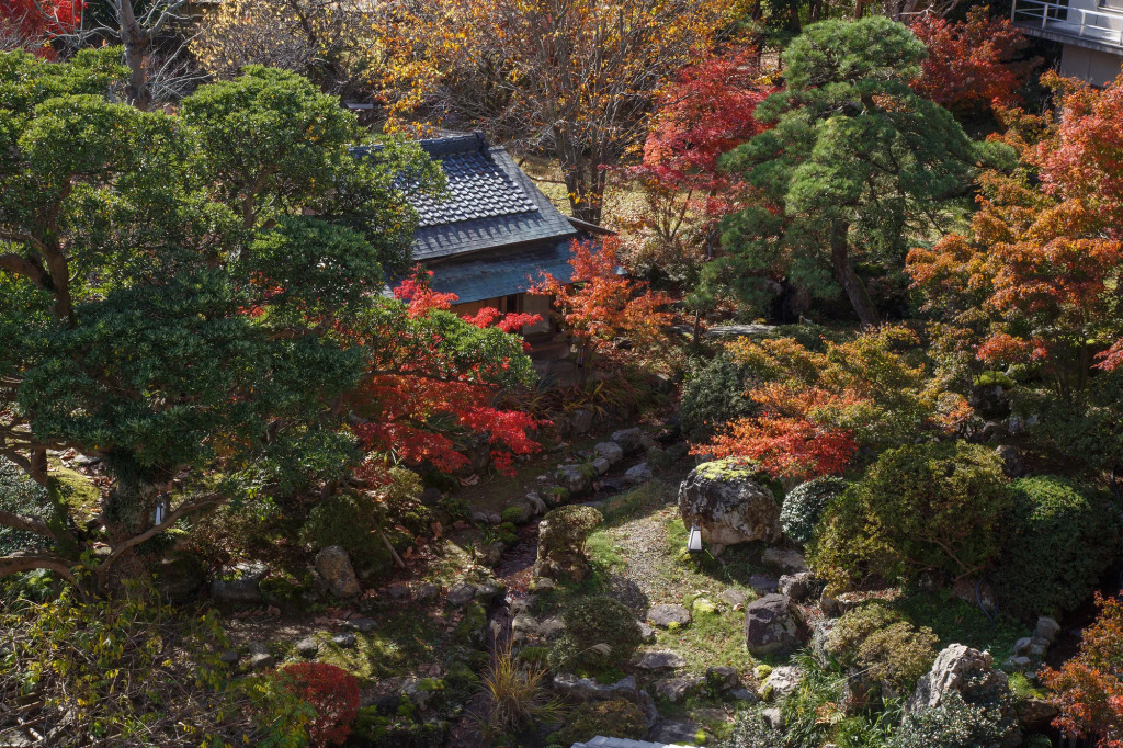 Fujiya