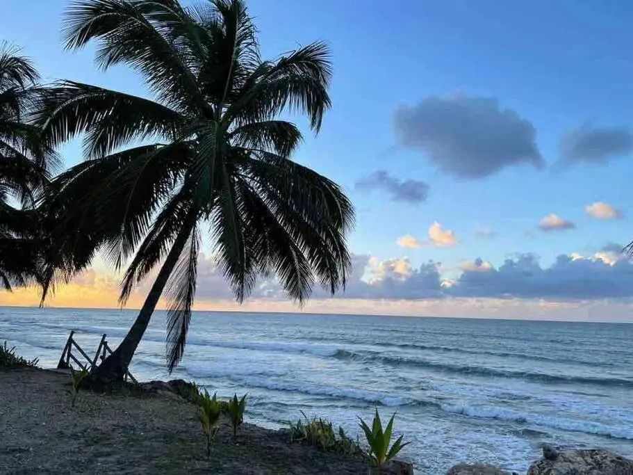 My Dream Beach House