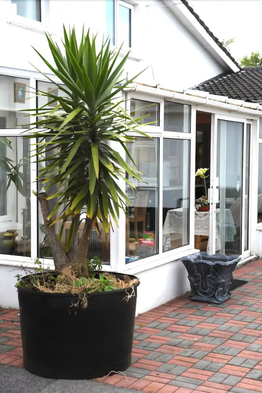 White Lodge B&B