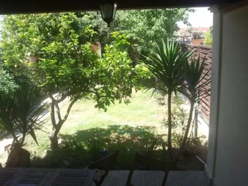 Is Pardinas