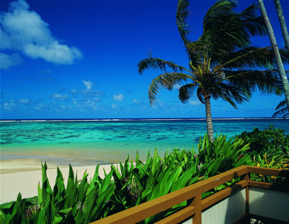 Palm Grove