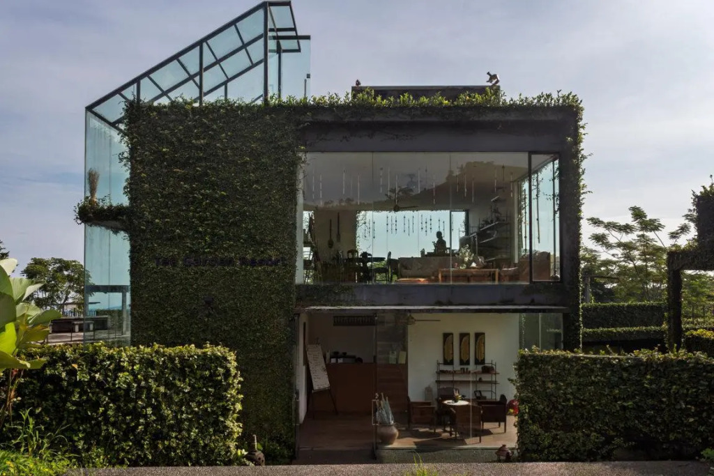 Tea Garden Resort