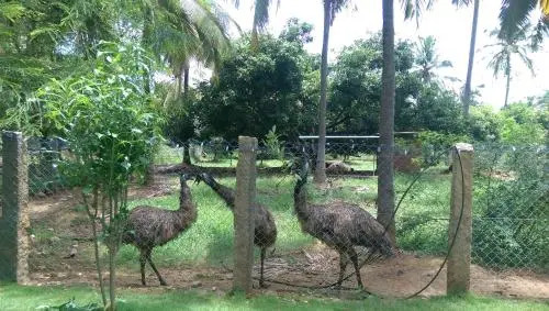 Mango Village Farm House