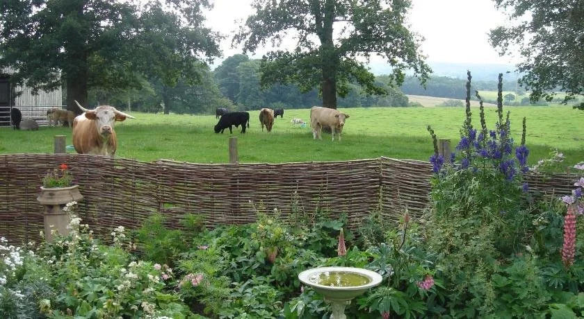 Yew Tree Farm