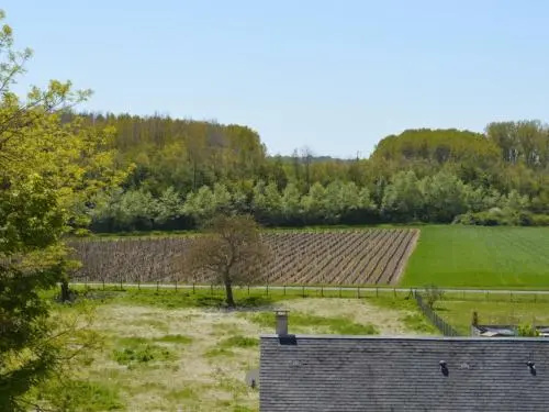 House Du Domaine Darragon 2