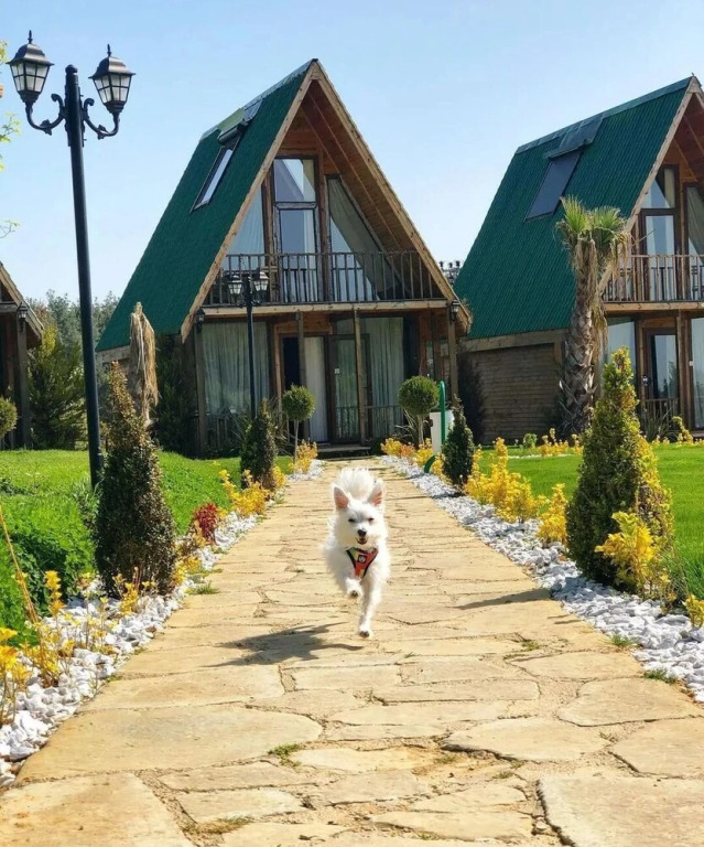 Bisanthe Panorama Sütlüce Dağ Evleri