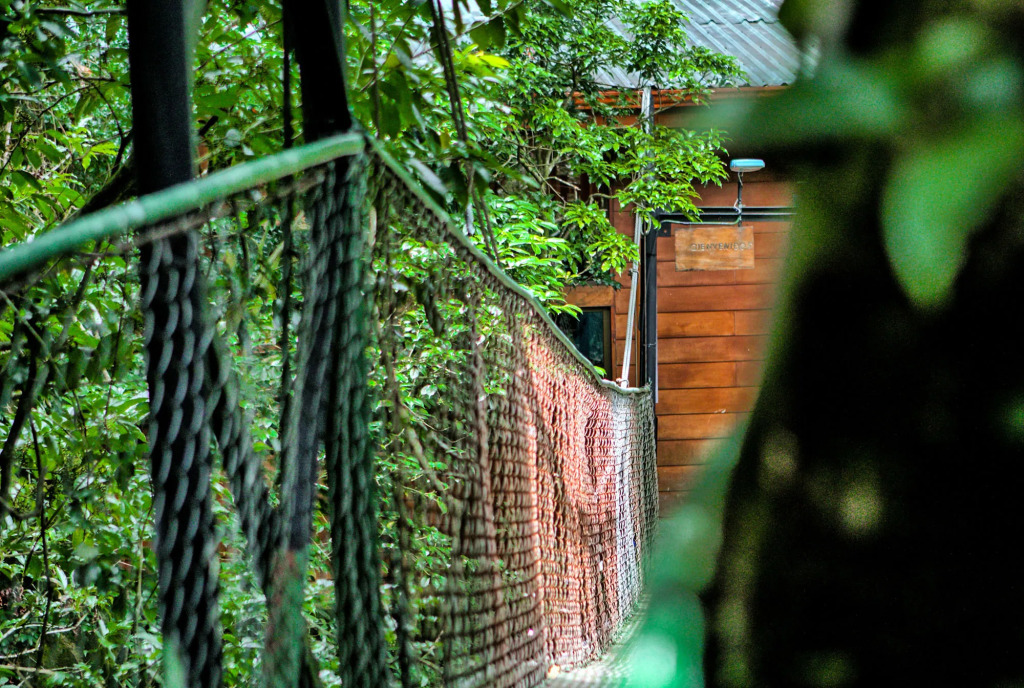 Jaguarundi Jungle Lodge - Monteverde