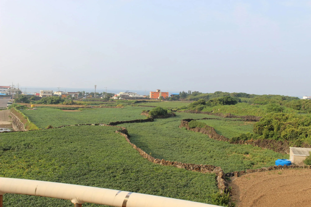 Jeju Feel House