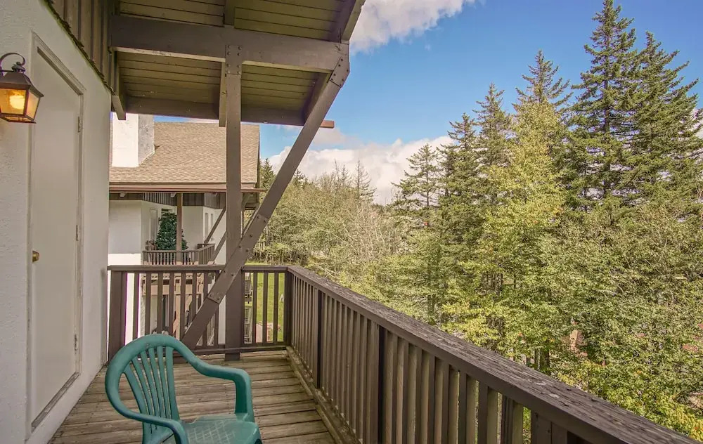 Whistlepunk #24: 4 Bedroom, 3 Bath: Slope Side, Wood Fireplace