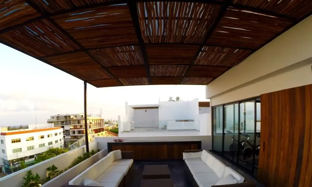 Areca