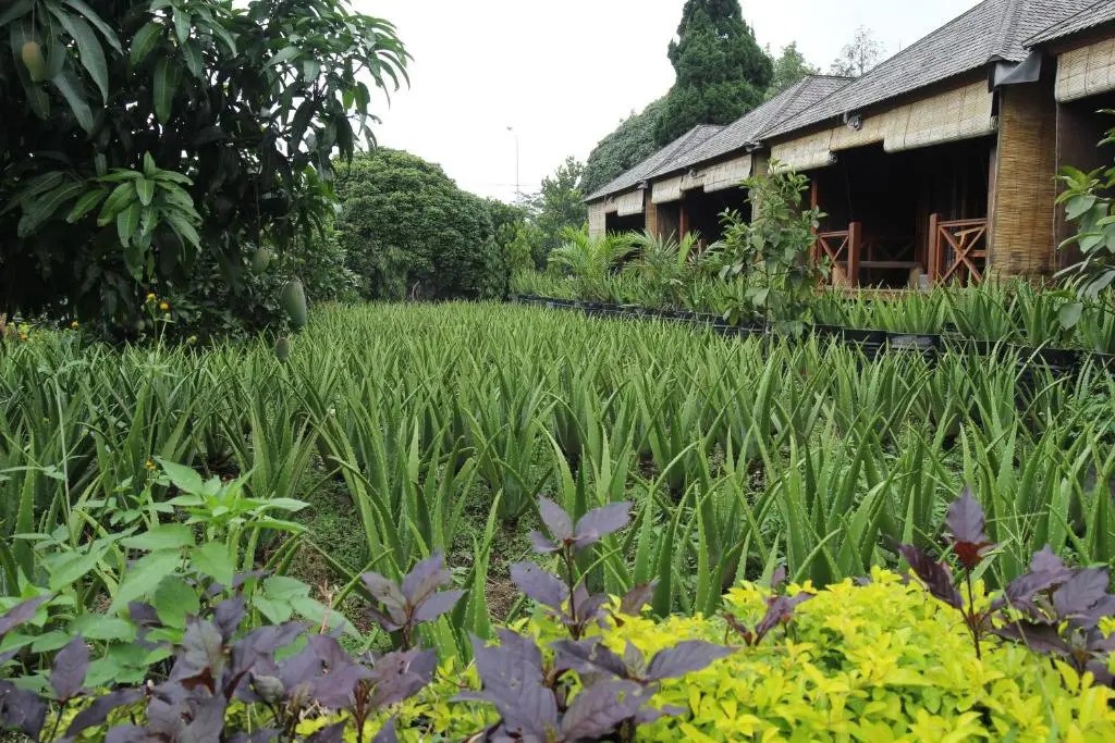 Puri Karang Besakih