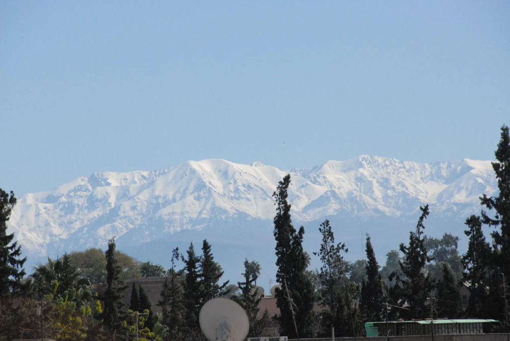 Riad Ajmal