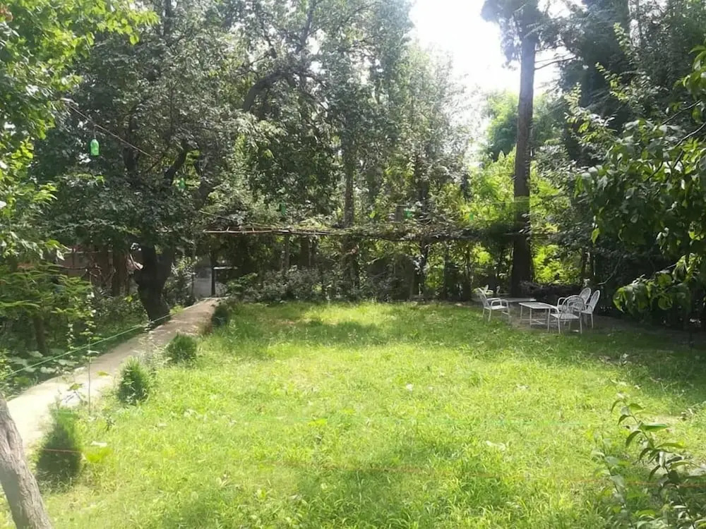 Blossom Guest House