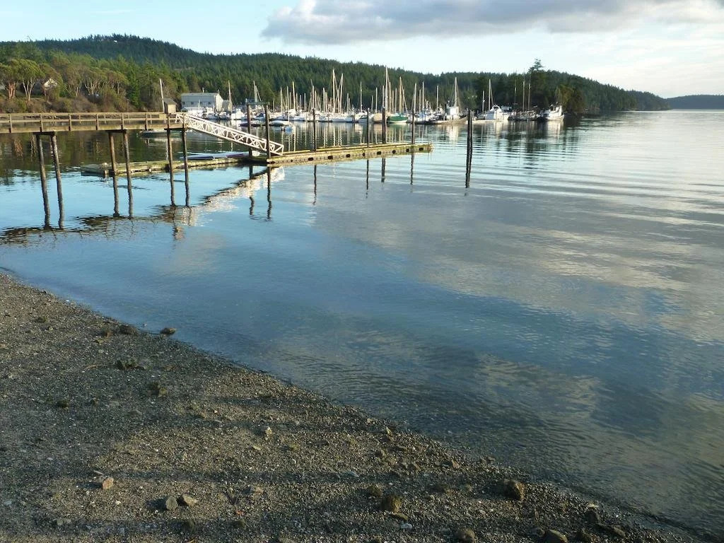 Kingfish at West Sound