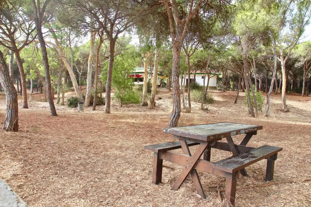 Apartamento Playa y Bosque