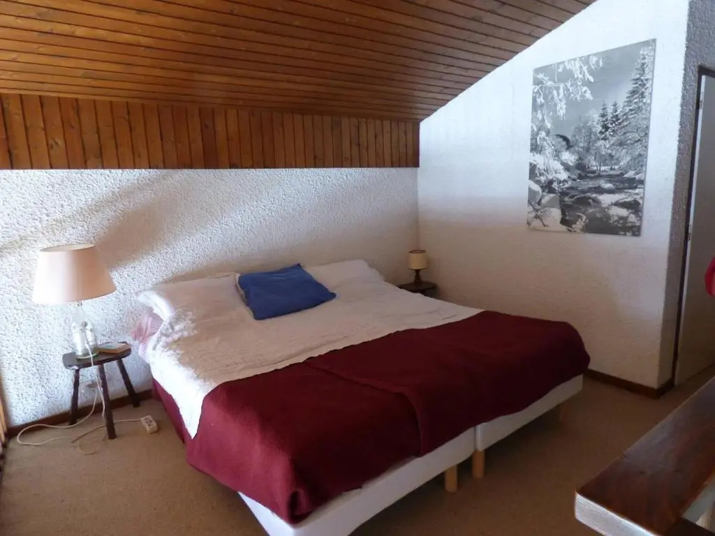 Appartement Le Grand-Bornand, 3 pièces, 6 personnes - FR-1-458-115