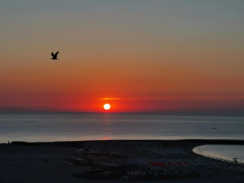 Sunrise Beachfront Relax Studio
