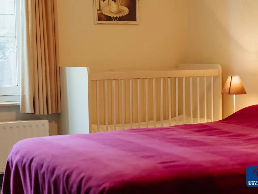 Pet-friendly Villa Retreat
