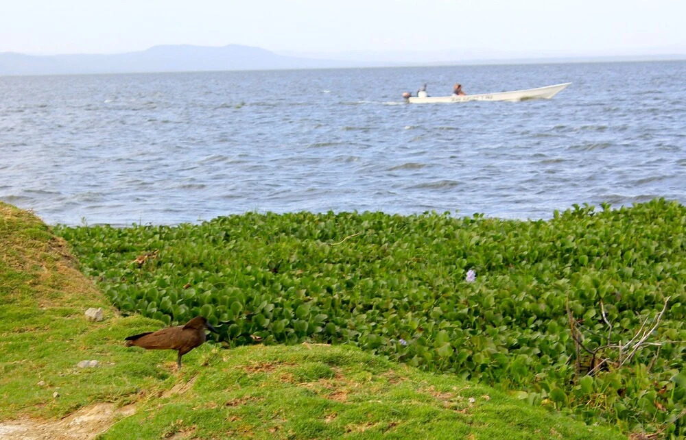 Pacific Camp & Lodge