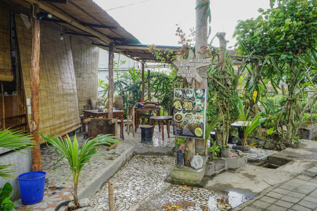 Molecha Guest House