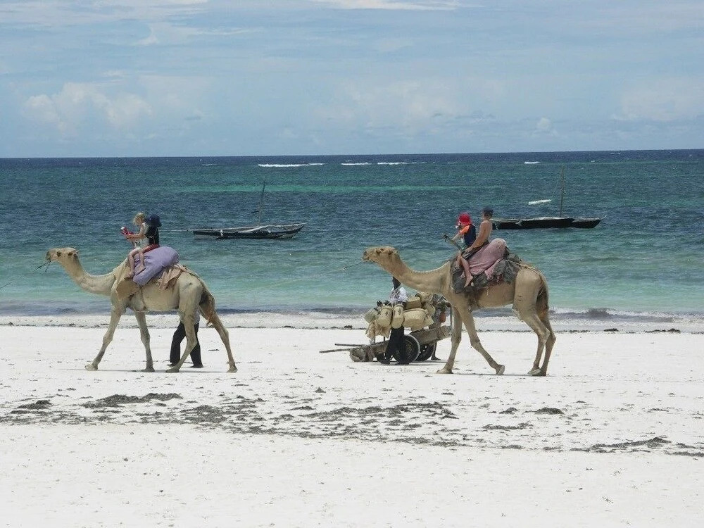Diani Garden House