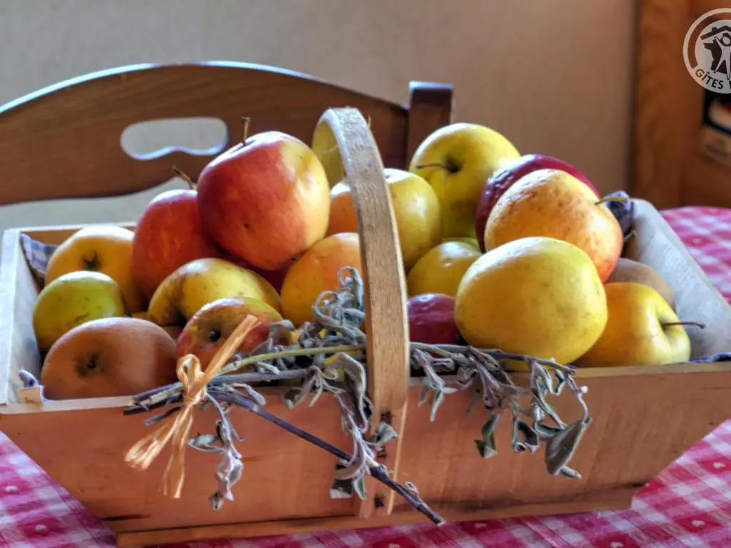 Gîte paisible 5 pers, animaux admis, Provence - FR-1-496-102