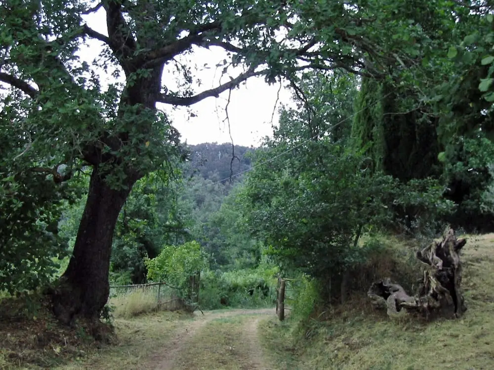 Podere Montepozzo, a charming country home