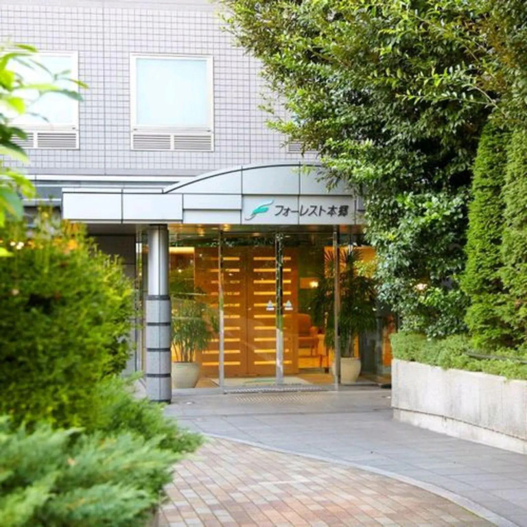 Forest Hongo by unito