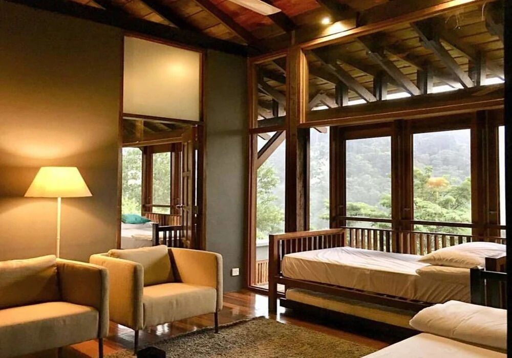 The Shorea