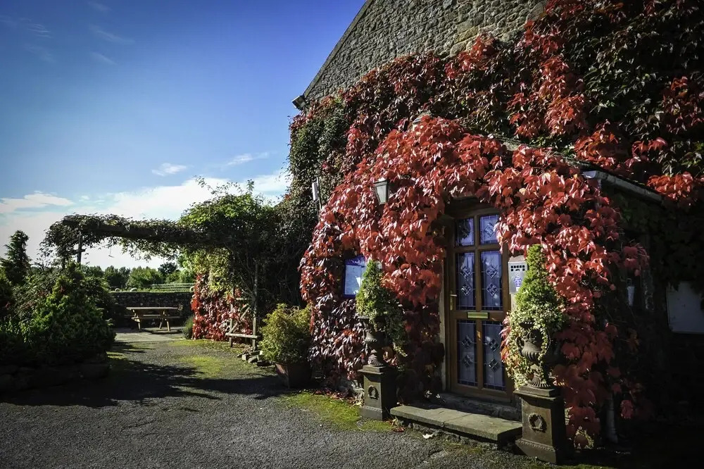 The Wyvill Arms
