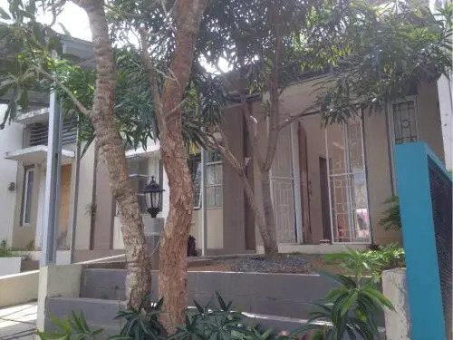 Olivine House
