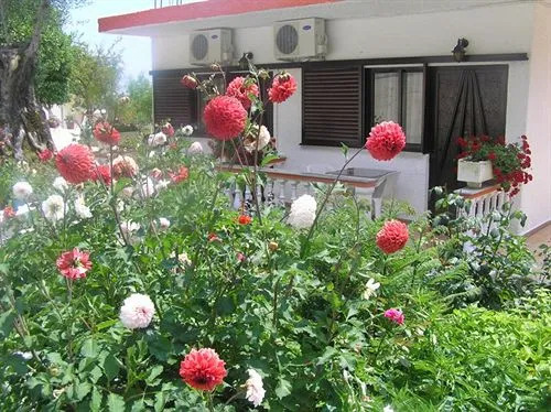 Villa Tomas