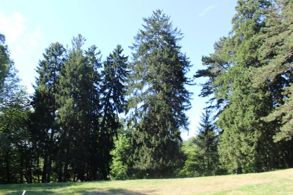 Gîte du château de Feschaux, Jura