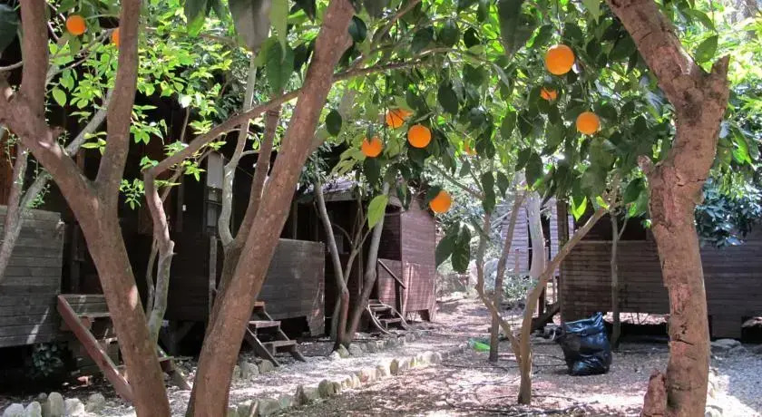 Ayisigi Pansiyon