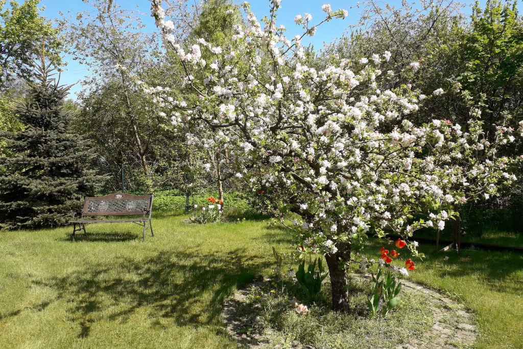 Ferienwohnung in der Hubschen Inselstadt Malchow