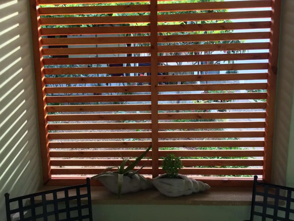 Vitis Vinifera Tranditional Studio Apartment