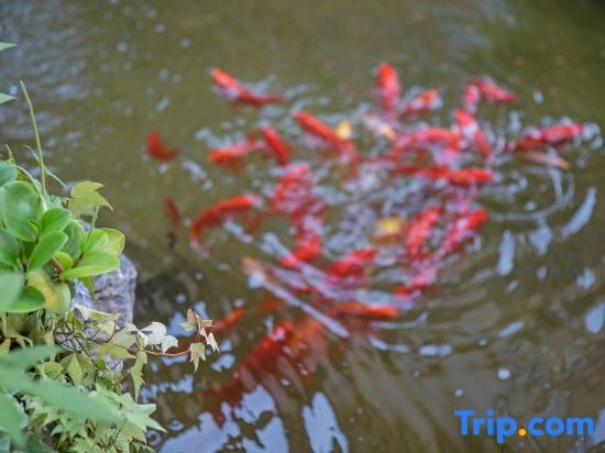 Wuyishanshuyan Mengli Shuixiang Holiday Villa