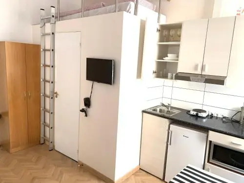 Centro apartment near Gedimas Avenue