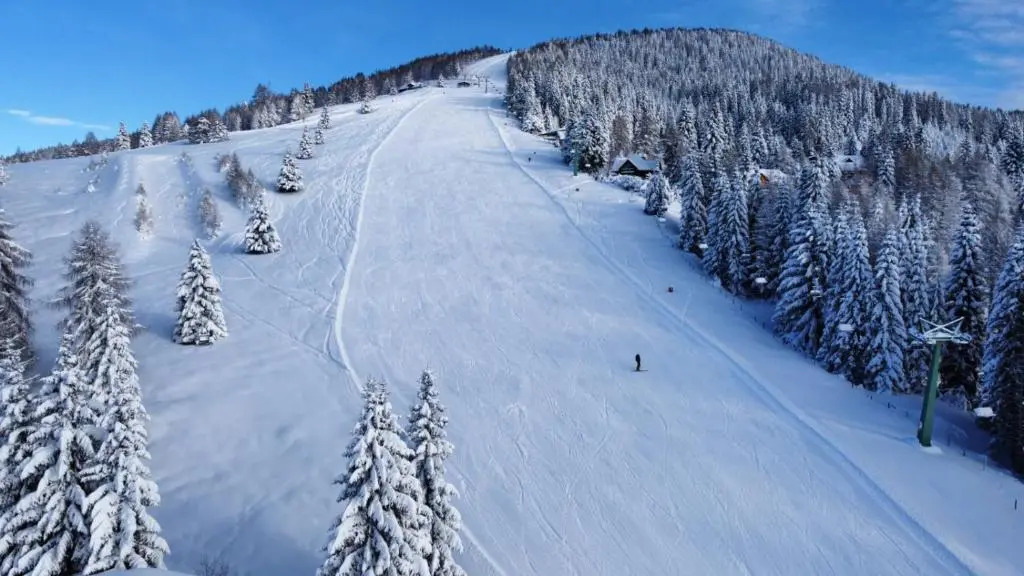 Alpenrose Sport Hotel