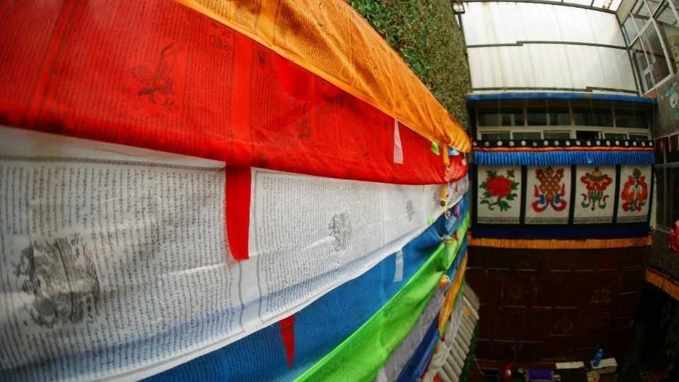 Xining Decuoji Youth Hostel