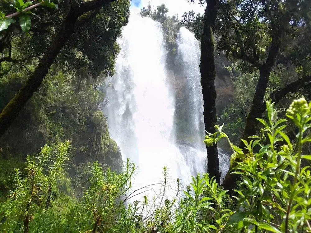 Blue Zone Kenya Resorts and Game Drives